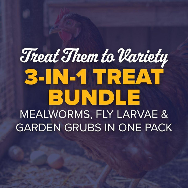 Chicken Treat Bundle - Image 3