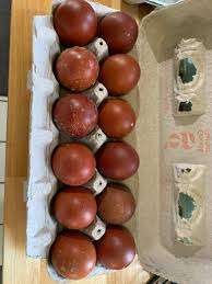 black copper marans eggs for sale - Image 5