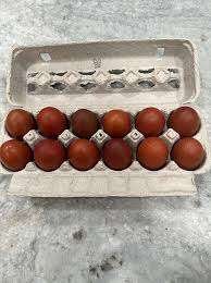 black copper marans eggs for sale - Image 3