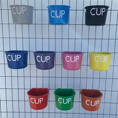 Cups PACK OF 12