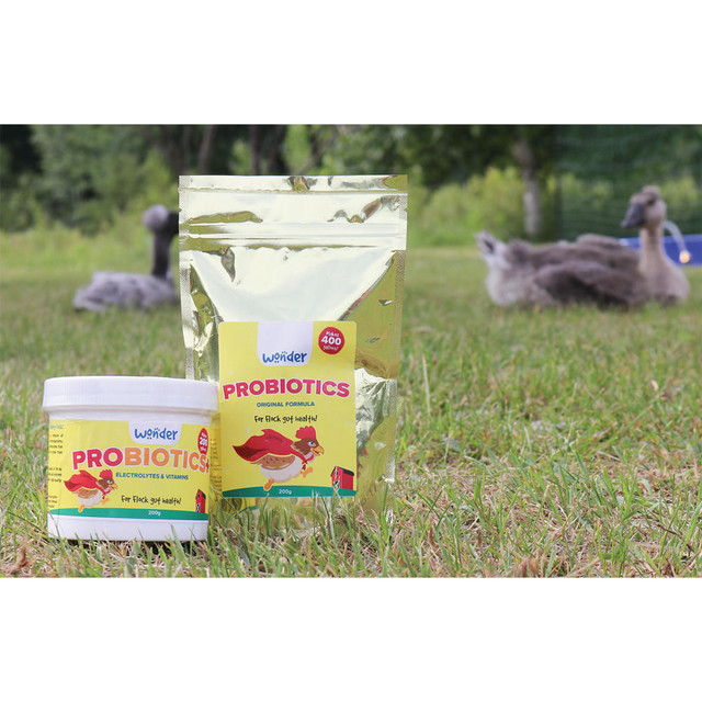 Probiotics+ w/ Electrolytes & Vitamins – 200 g - Image 2
